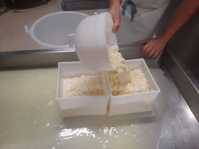 Image: Livinallongo Dairy