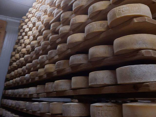 Image: Livinallongo Dairy