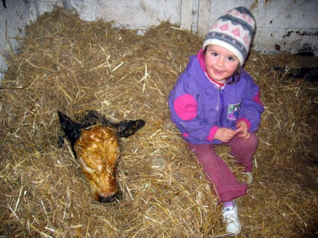 Image: Masarei stable