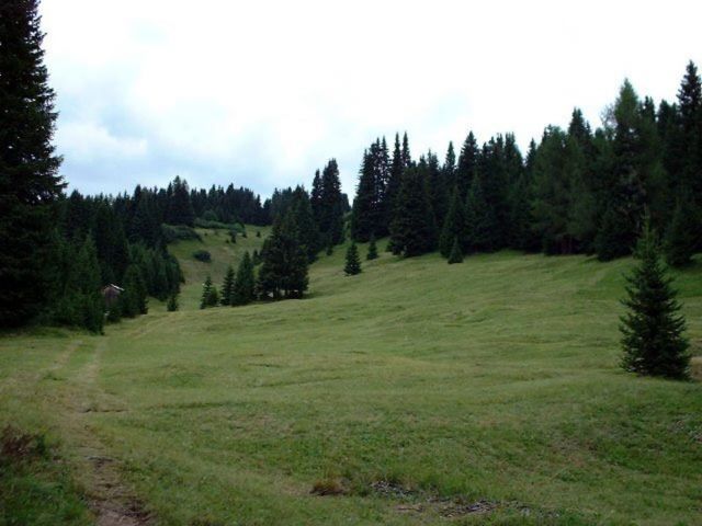 Image: Coste Valley