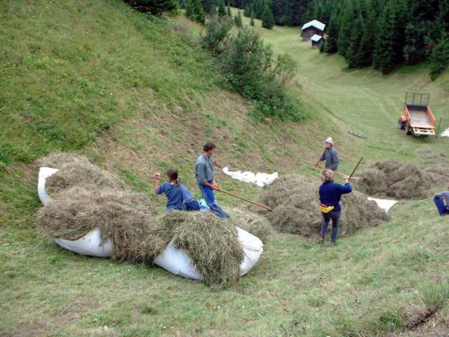 image: El Cirum farmstay